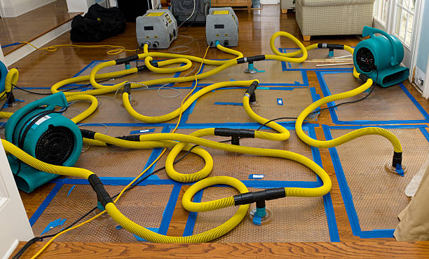 Professional Water Damage Restoration technician working in Columbus, NM
